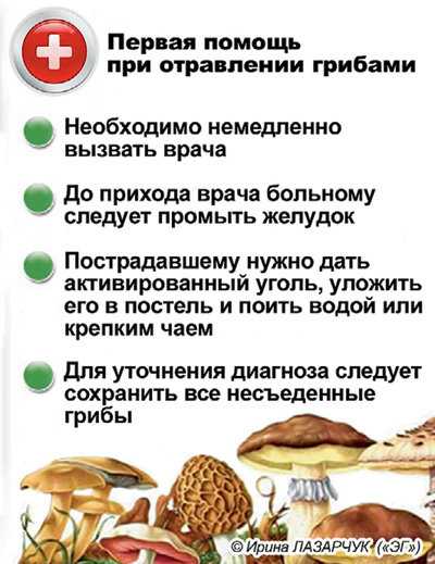 Первая помощь при отравлении грибами