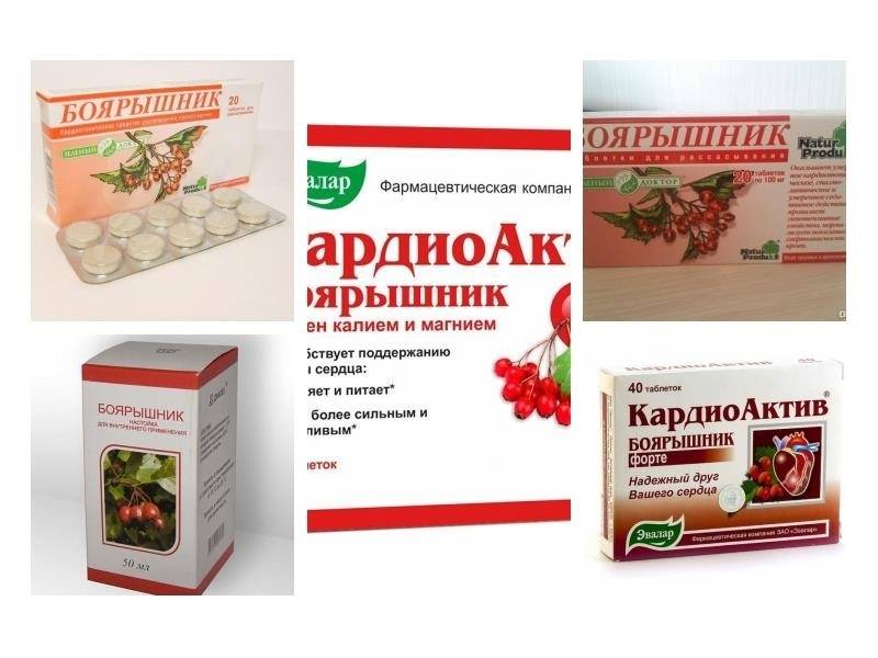 Боярышник — 8 лечебных свойств и противопоказания, применение настойки и заваривание чая
