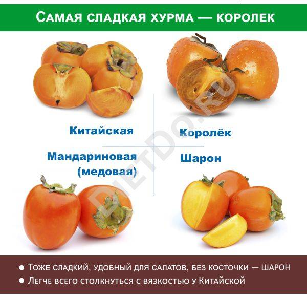 Можно ли беременным есть хурму?