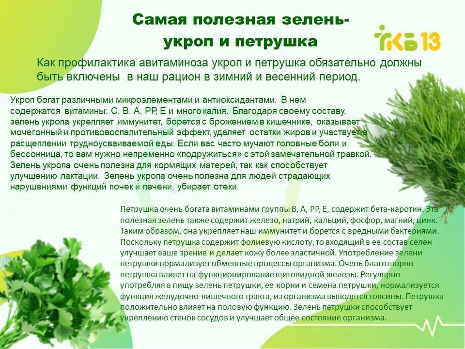 Укроп при беременности