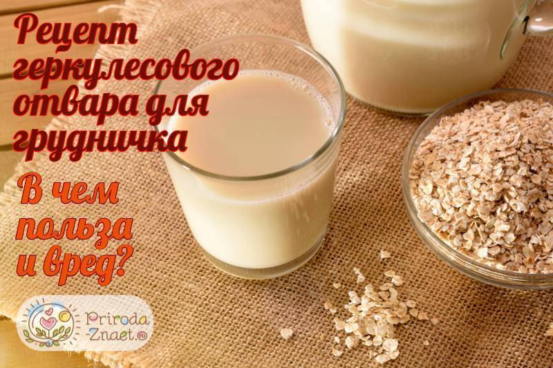 В чем польза отвара овса и можно ли давать его детям? геркулесовый отвар для грудничка