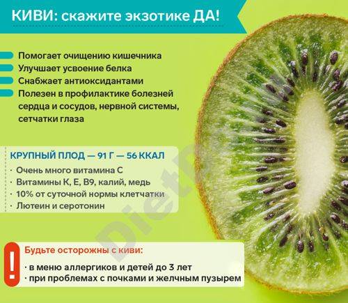 Киви при грудном вскармливании: можно ли кормящей маме в первый месяц и другие особенности употребления при лактации