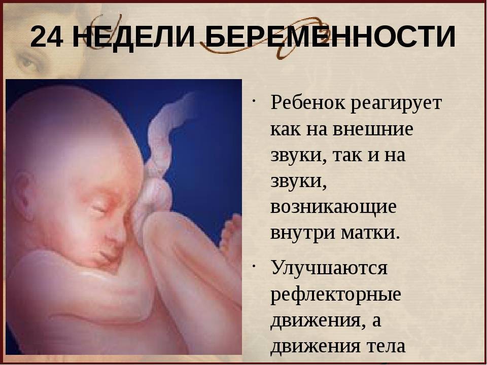 Двадцать шестая неделя беременности