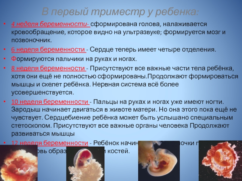 4 неделя беременности: что происходит с плодом и что чувствует женщина, симптомы и ощущения