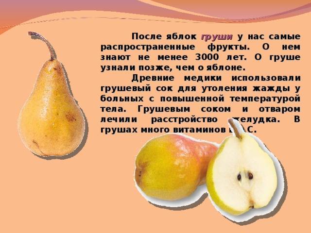 Груши при беременности: можно или нельзя
