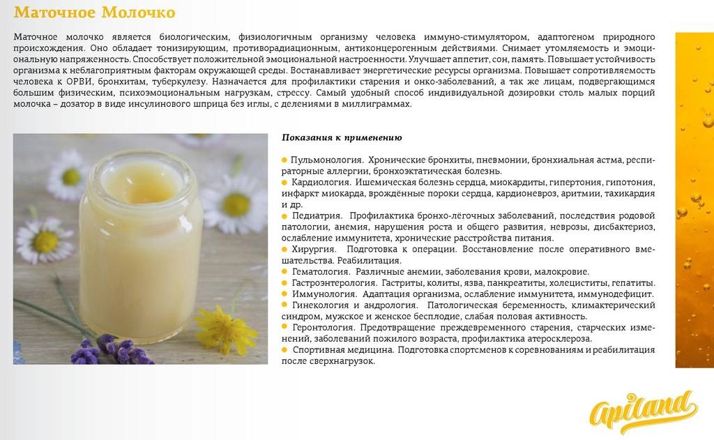 Пчелиное маточное молочко польза и вред как принимать