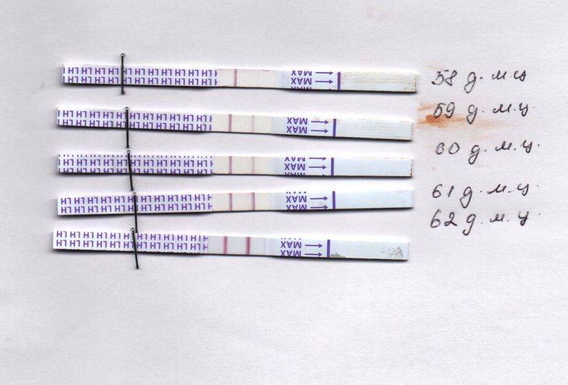 Можно ли делать тест на беременность во время месячных и зачем?