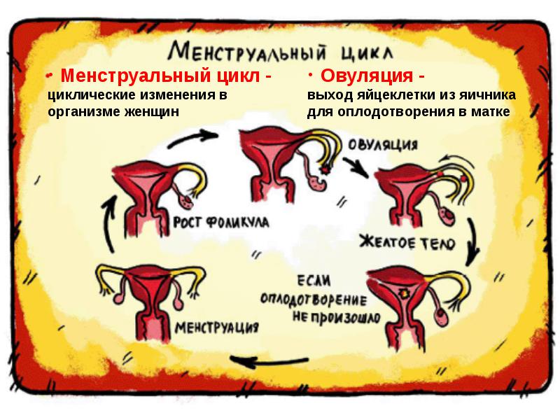 Нарушения менструального цикла