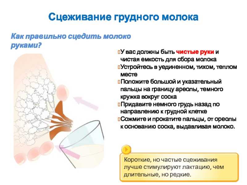 Как правильно сцеживать грудное молоко руками с груди при прекращении лактации | parnas42.ru