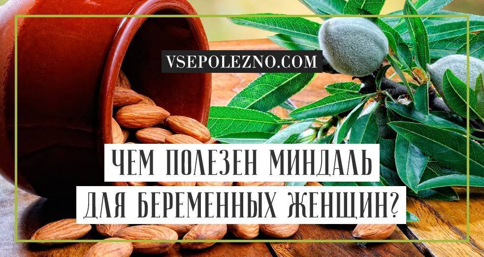 Миндаль при беременности - польза и вред