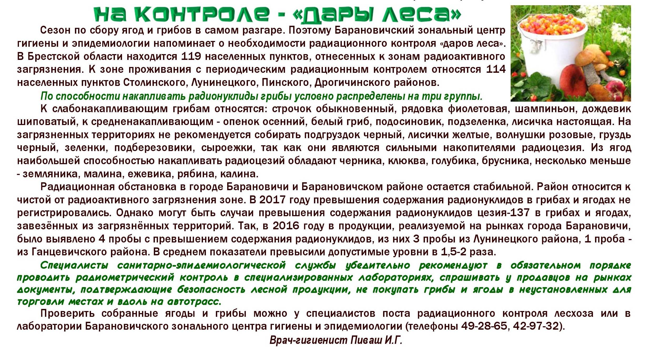 С какого возраста можно давать детям грибной суп: рекомендации врачей