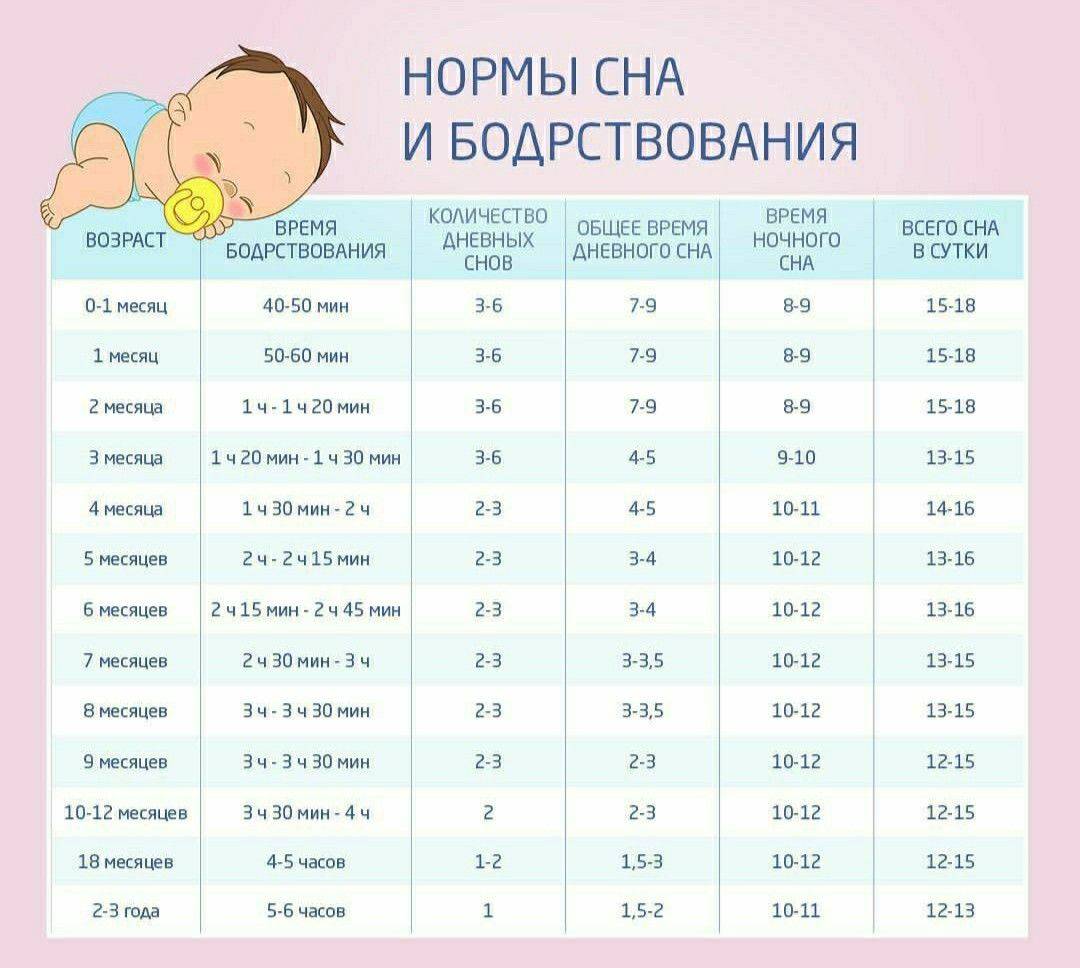 Режим дня ребенка в 11 месяцев по часам и его питание