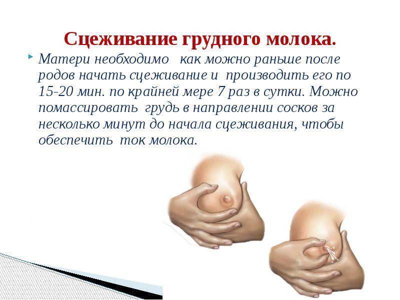 Когда необходимо, как правильно и сколько сцеживать грудное молоко