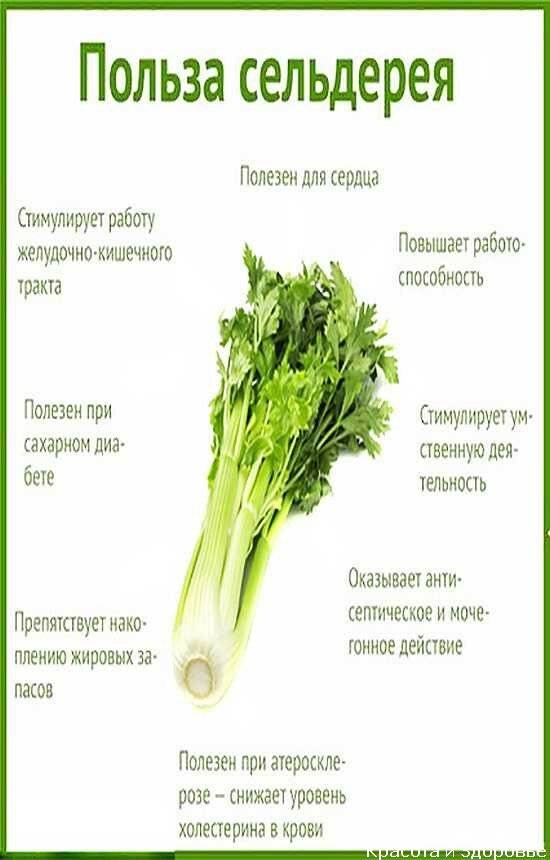 Что можно есть кормящей маме в 3 месяца, список продуктов