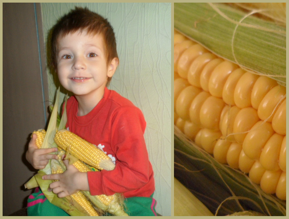 С какого возраста маленькому ребенку можно давать вареную кукурузу, какова ее польза для детского организма?