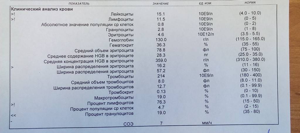 Нейтрофилы понижены у ребенка в анализе крови - причины и симптомы, показатели нормы и лечение