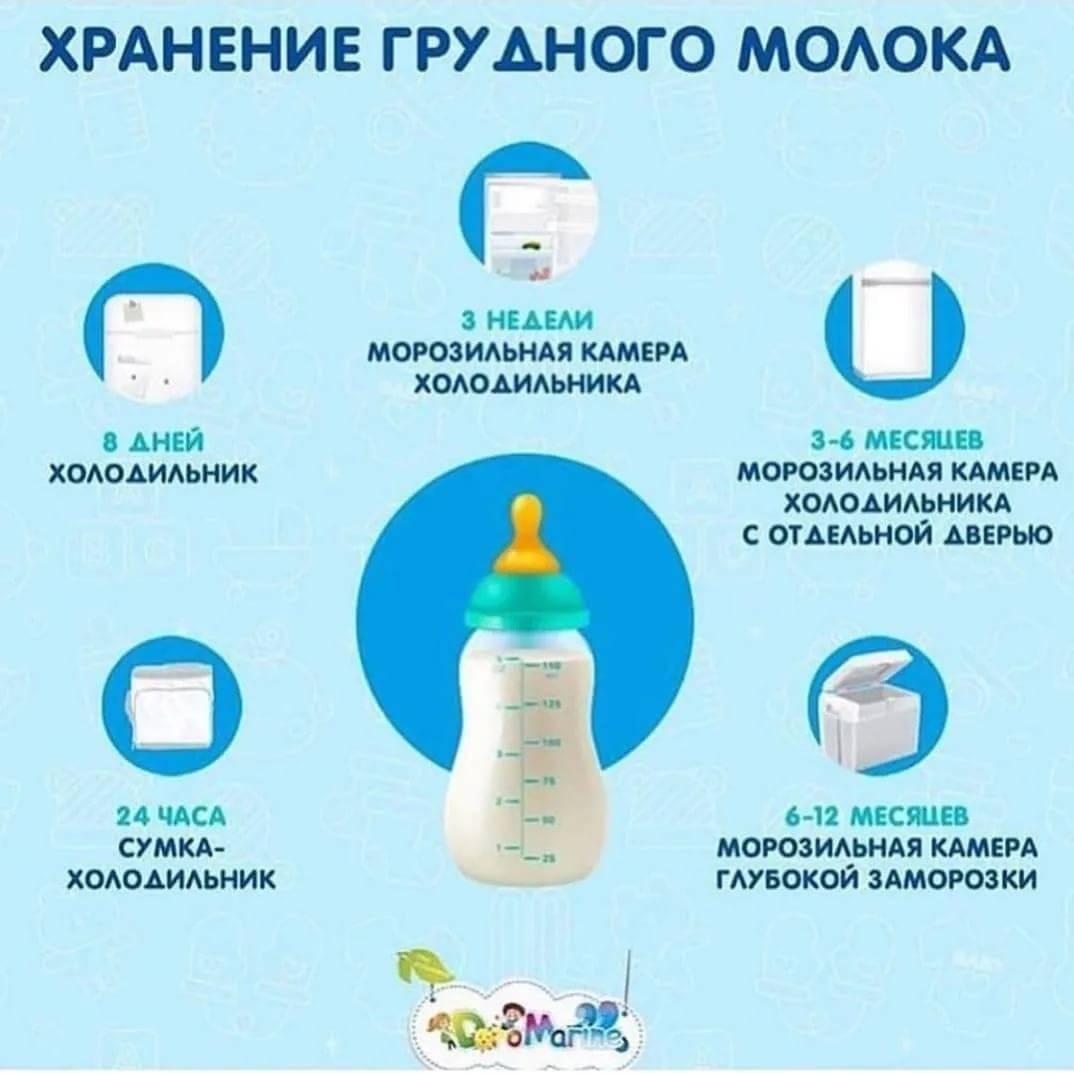 Организация кормления сцеженным молоком из бутылочки