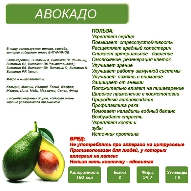 Авокадо при грудном вскармливании: можно ли кормящей маме и с какого месяца