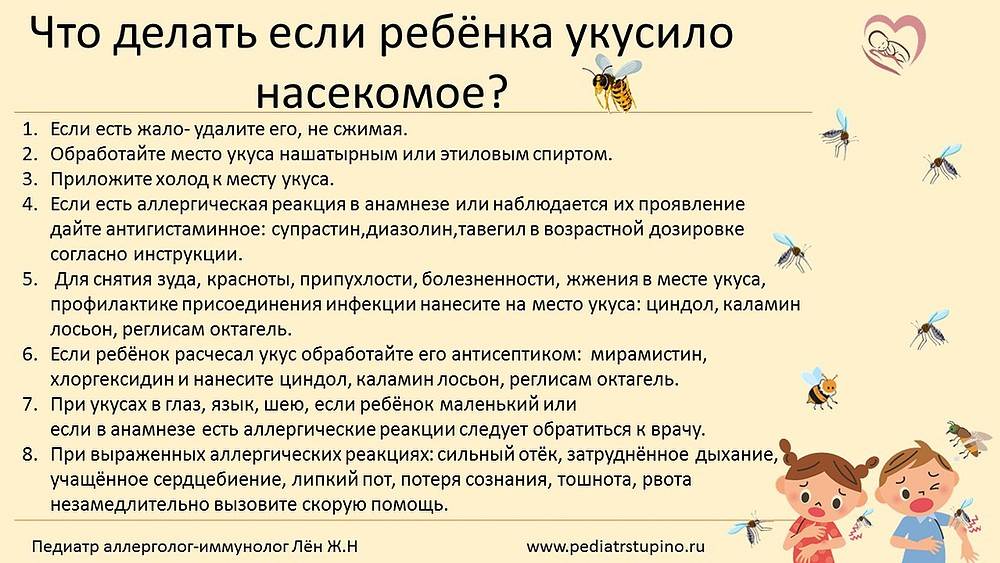 Ребенок боится насекомых: как исправить ситуацию? · всё о беременности, родах, развитии ребенка, а также воспитании и уходе за ним на babyzzz.ru