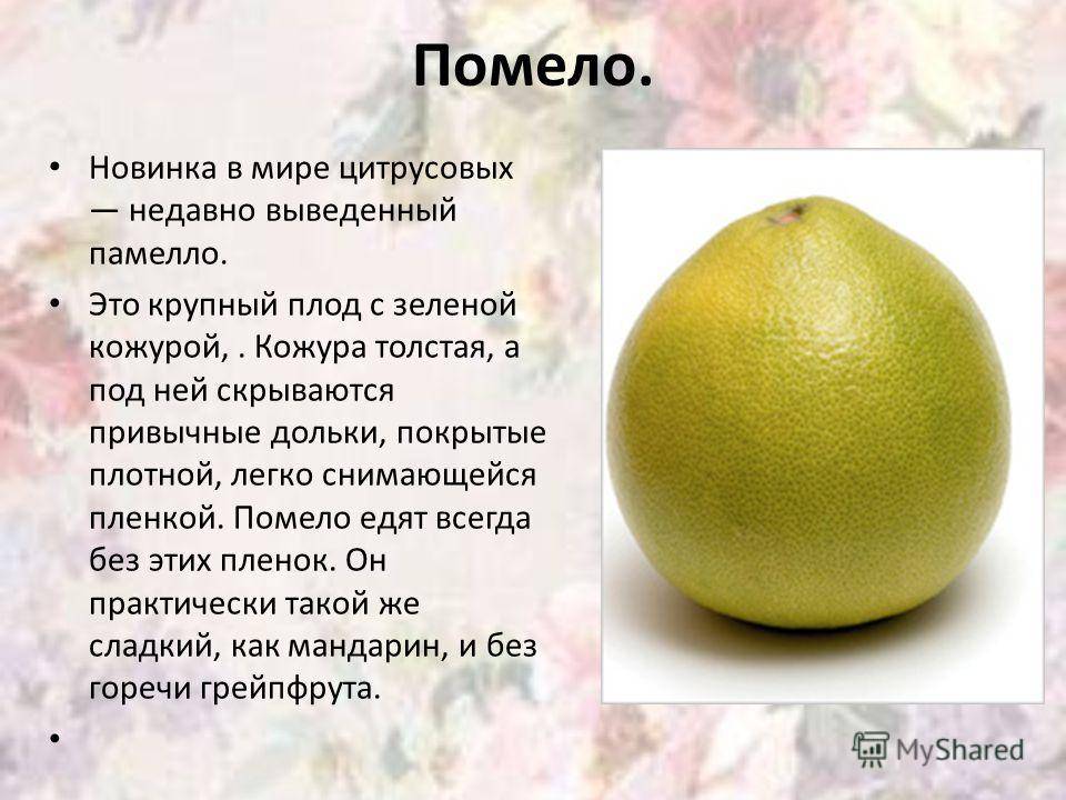 Калорийность помело без кожуры eCookie.ru