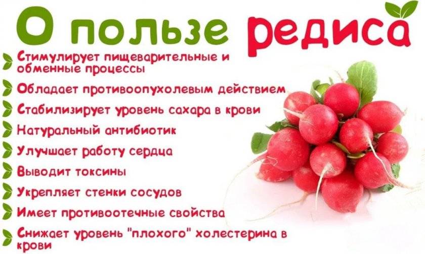 Какие овощи и фрукты можно кормящей маме, рекомендуемые способы приготовления