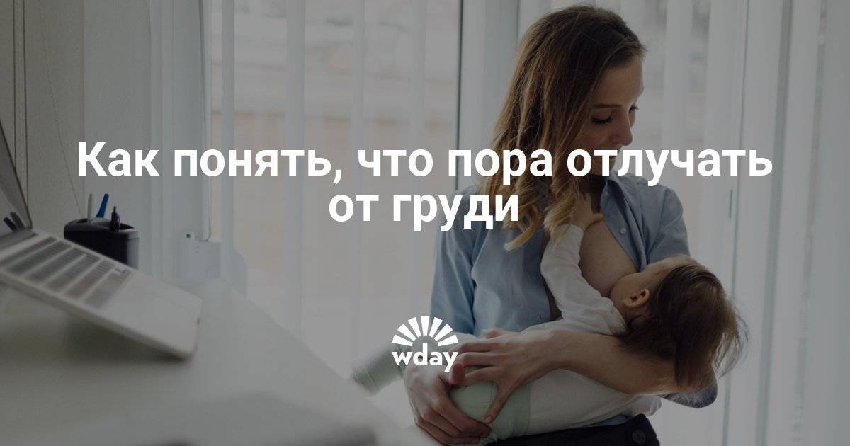 Что нужно знать молодой маме о грудном вскармливании