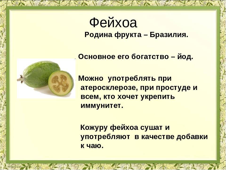 Какие фрукты можно кормящей маме и как ввести их в рацион?