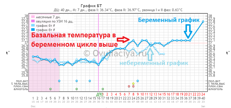 Имплантация температура тела. Беременный график базальной температуры до задержки. График БТ при беременности на ранних. График БТ при беременности до задержки. График базальная температура при беременность 37.