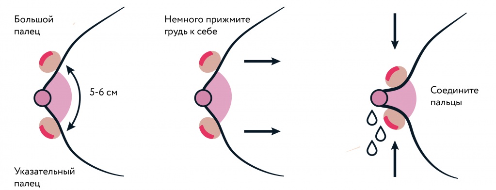 Сцеживание после кормления. Схема массажа груди при лактостазе. Сцеживание молока схема. Схема сцеживания грудного молока вручную. Как правильно сцеживать грудное молоко руками.