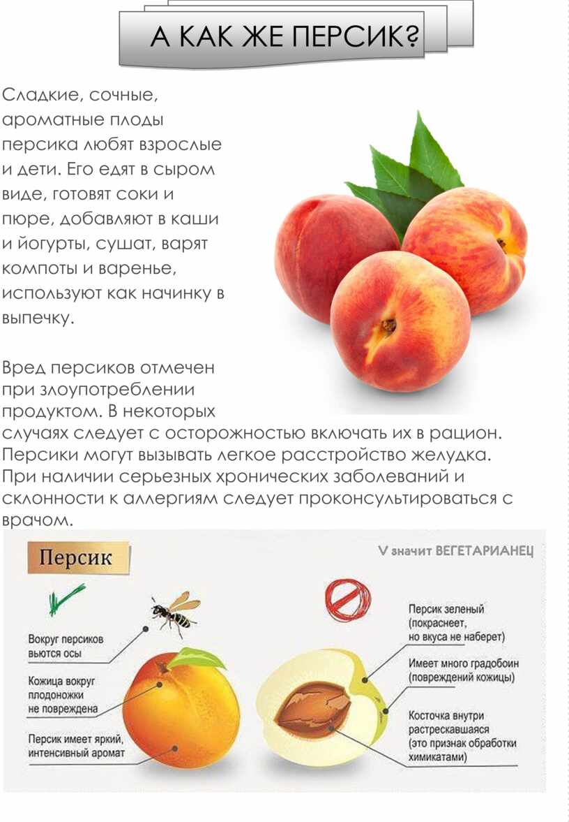 Безопасная подача кусочков ребенку для прикорма