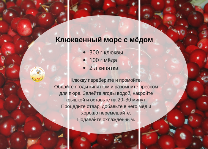 Клюква для детей: полезные свойства, рекомендации по применению