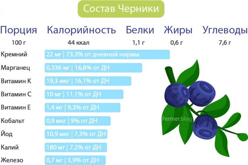 Черника: полезные свойства и противопоказания ягоды, польза и вред
