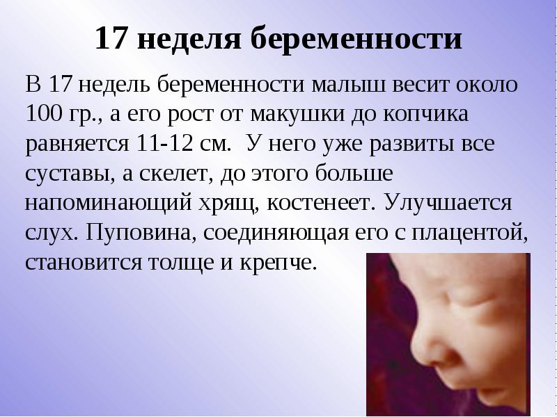 17 неделя беременности - ощущения, шевеления, развитие плода