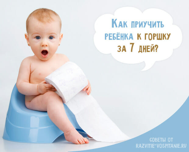 Как приучить ребенка к горшку?