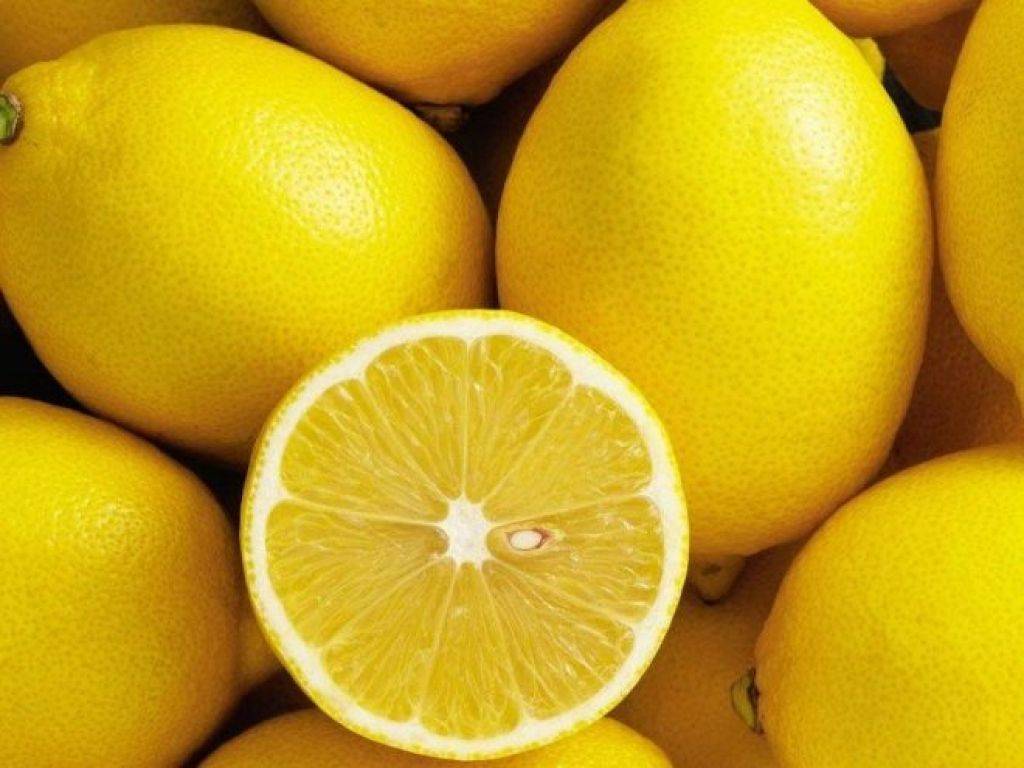 Огромный лимон. Лимон в кулинарии. Чем полезен лимон. Польза лимона. Ада лимон