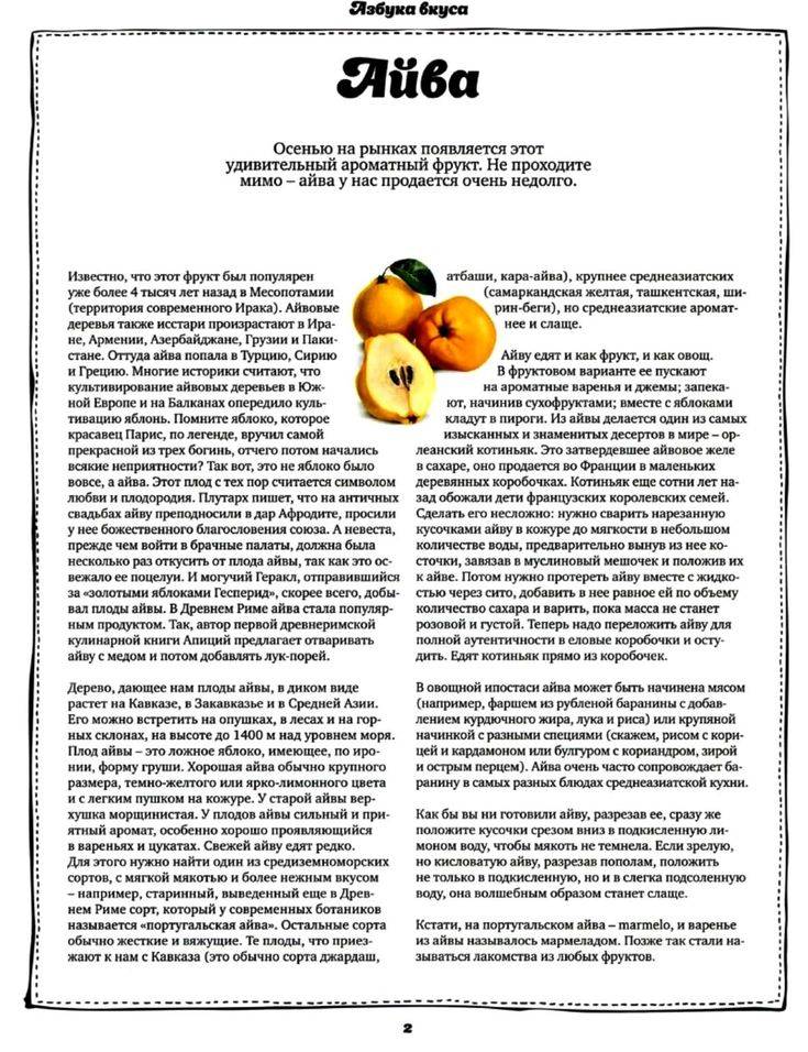 Айва детям - энциклопедия детское питание