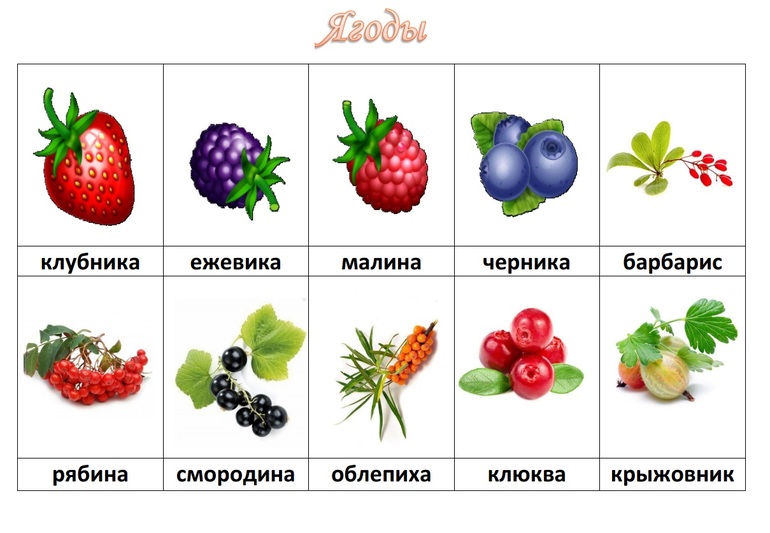 Учим фрукты и ягоды (карточки домана)