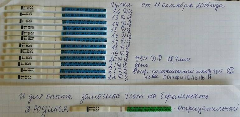 Когда лучше делать тест на беременность: на какой день тест показывает результат / mama66.ru