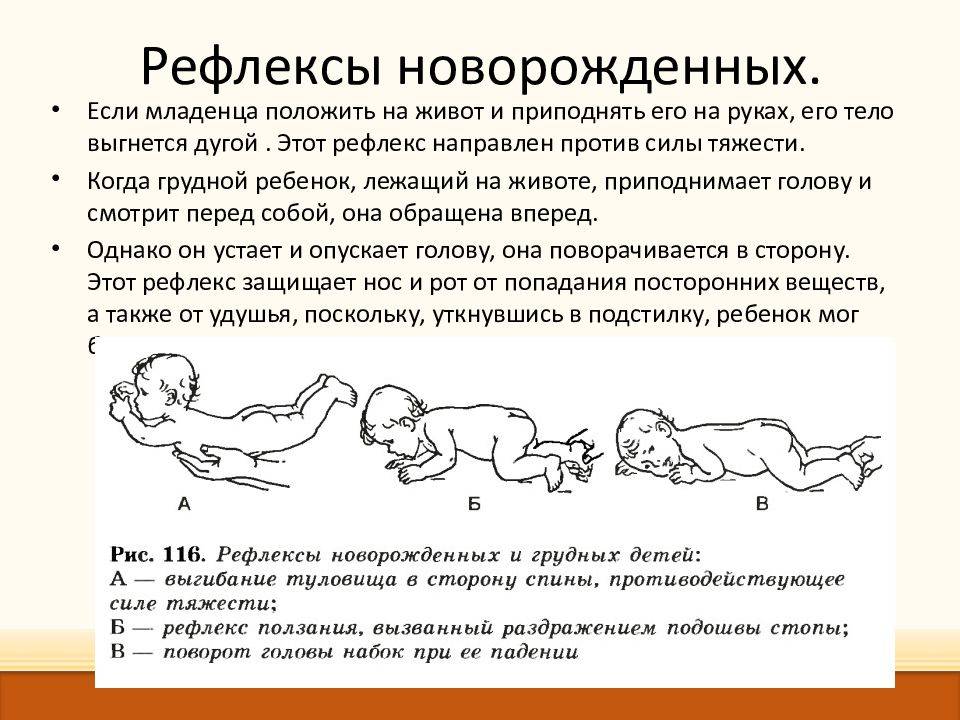 Как укладывать новорожденного после кормления. Выкладывание на животик новорожденного. Выкладывать ребенка на живот новорожденного. Класть ребенка на живот. Выкладывание грудничка на животик.