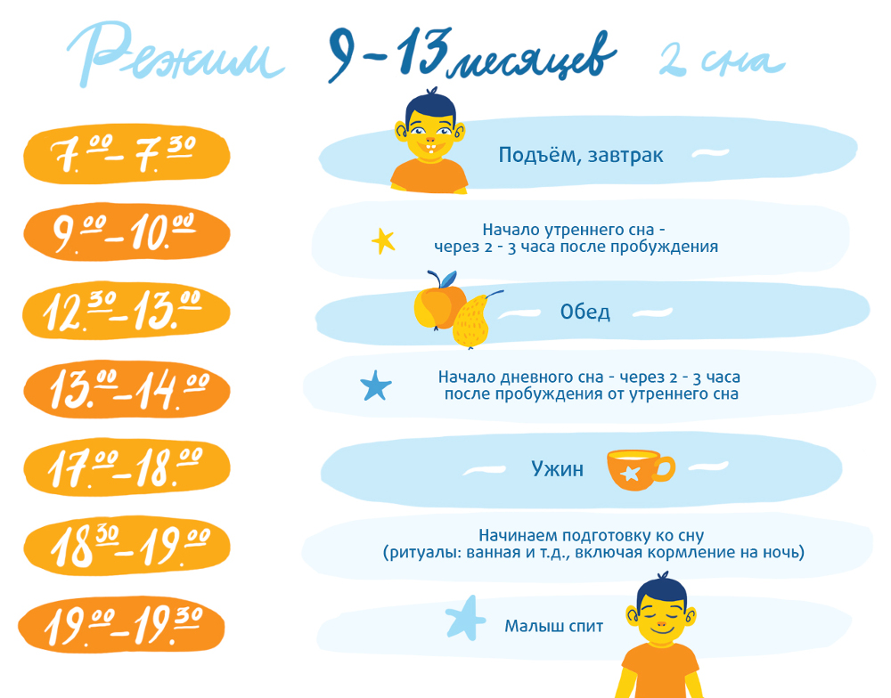 Режим дня ребенка в 11 месяцев: распорядок по часам. питание, сон, навыки 11-месячного малыша (+отзывы)