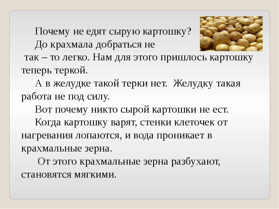Правильное питание во время беременности - советы по правильному питанию - agulife.ru