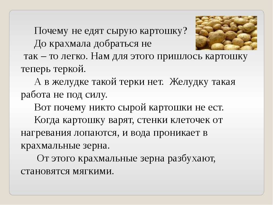 Приму картошку. Чем полезен сырой картофель. Почему человек ест сырую картошку. Можно ли кушать сырую картошку. Можно ли кушать картофель сырой.