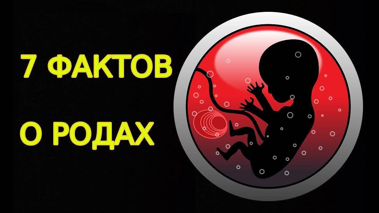 Процесс родов