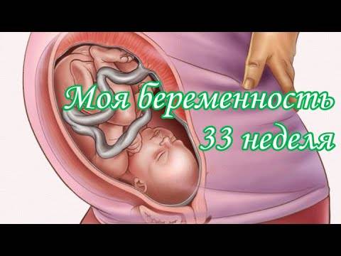33 неделя беременности