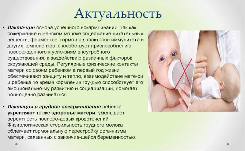 Правила искусственного вскармливания: режим питания новорожденного на ив, как правильно кормить грудничка смесью из бутылочки