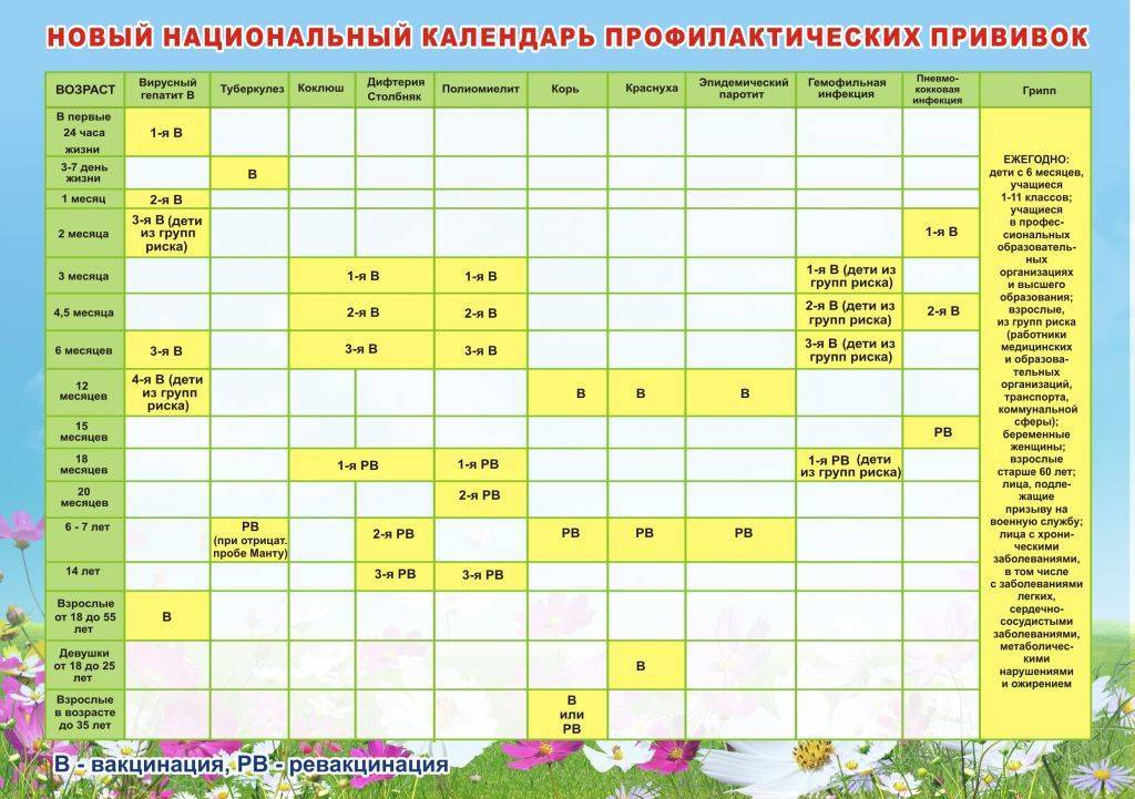 Прививки до года по месяцам таблица Какие прививки делают детям до года по месяцам таблица 60 фото