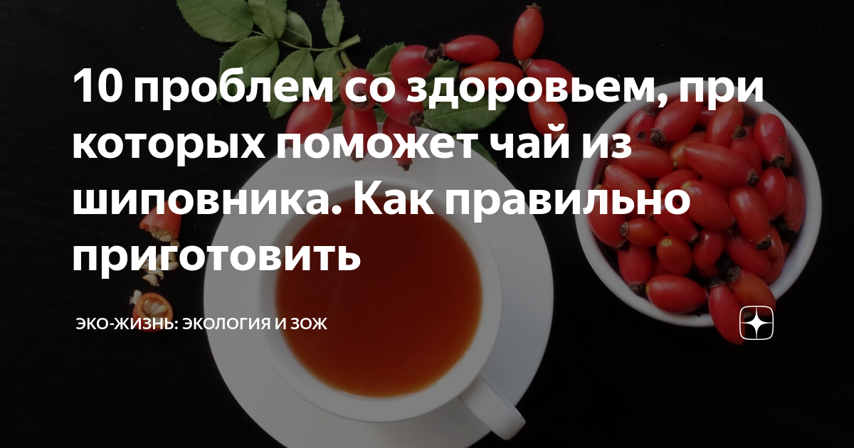 Сушеный шиповник полезные свойства. полезные свойства и противопоказания | здоровье человека
