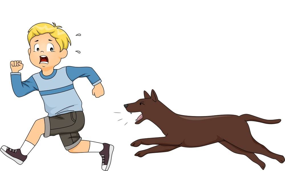 Ребенок испуганный громким лаем собак. Мальчик убегает от собаки. Мальчик бежит за собакой. Человек убегает от собаки. Убегает от собаки рисунок.