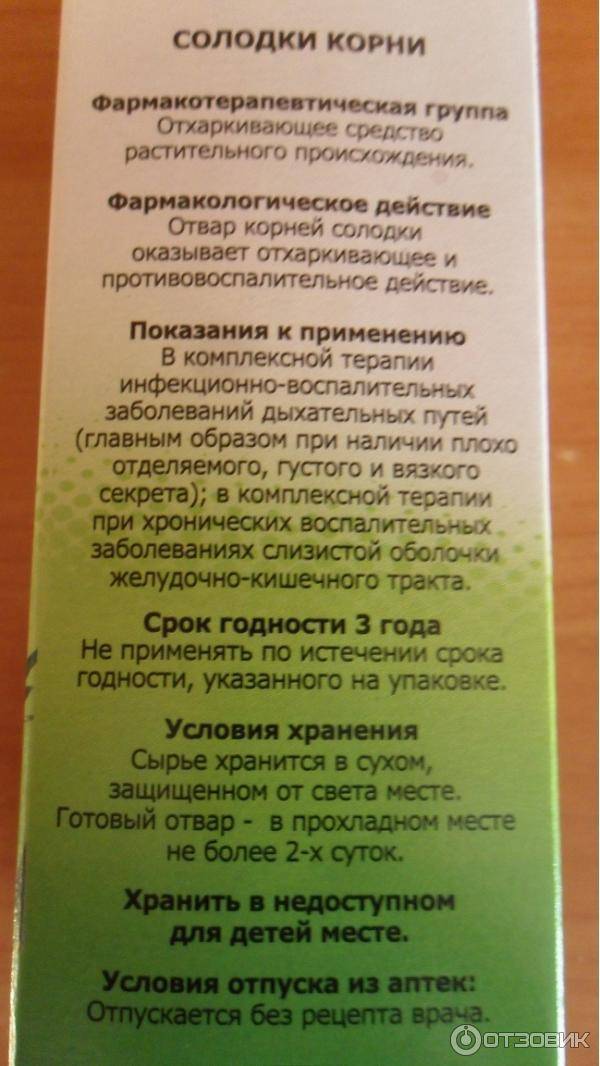 Лечебные свойства солодки голой и рецепты применения в народной медицине