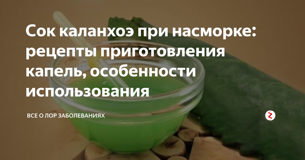 Как капать сок каланхоэ ребенку при насморке, с какого возраста можно использовать это средство?